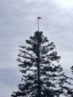 signal-2024-04-14-200145_002
