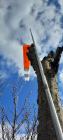 signal-2023-03-19-124352_003